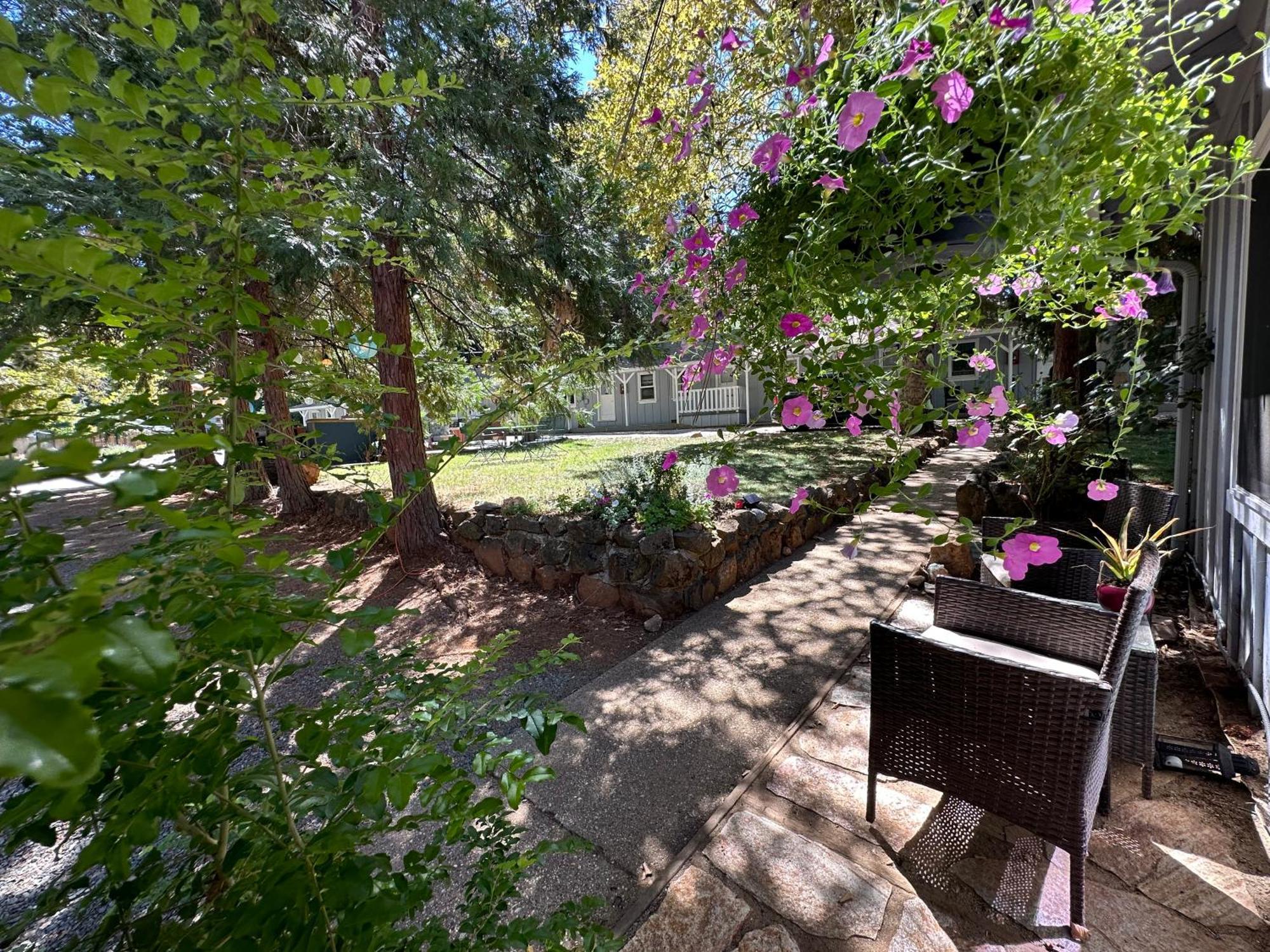 The Pines Inn And Cottages Grass Valley Buitenkant foto