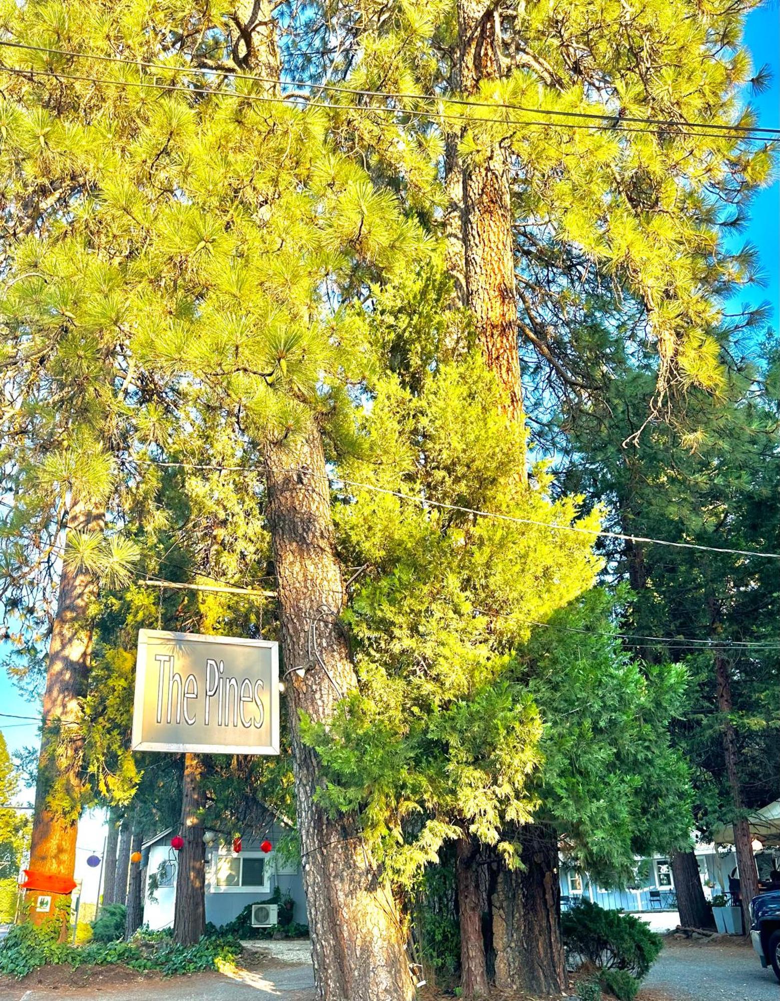 The Pines Inn And Cottages Grass Valley Buitenkant foto