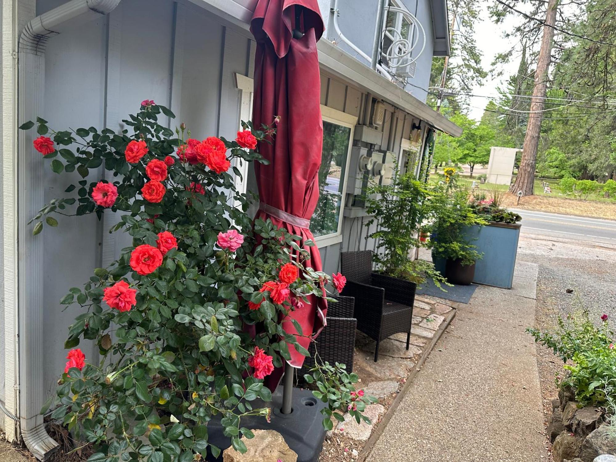 The Pines Inn And Cottages Grass Valley Buitenkant foto