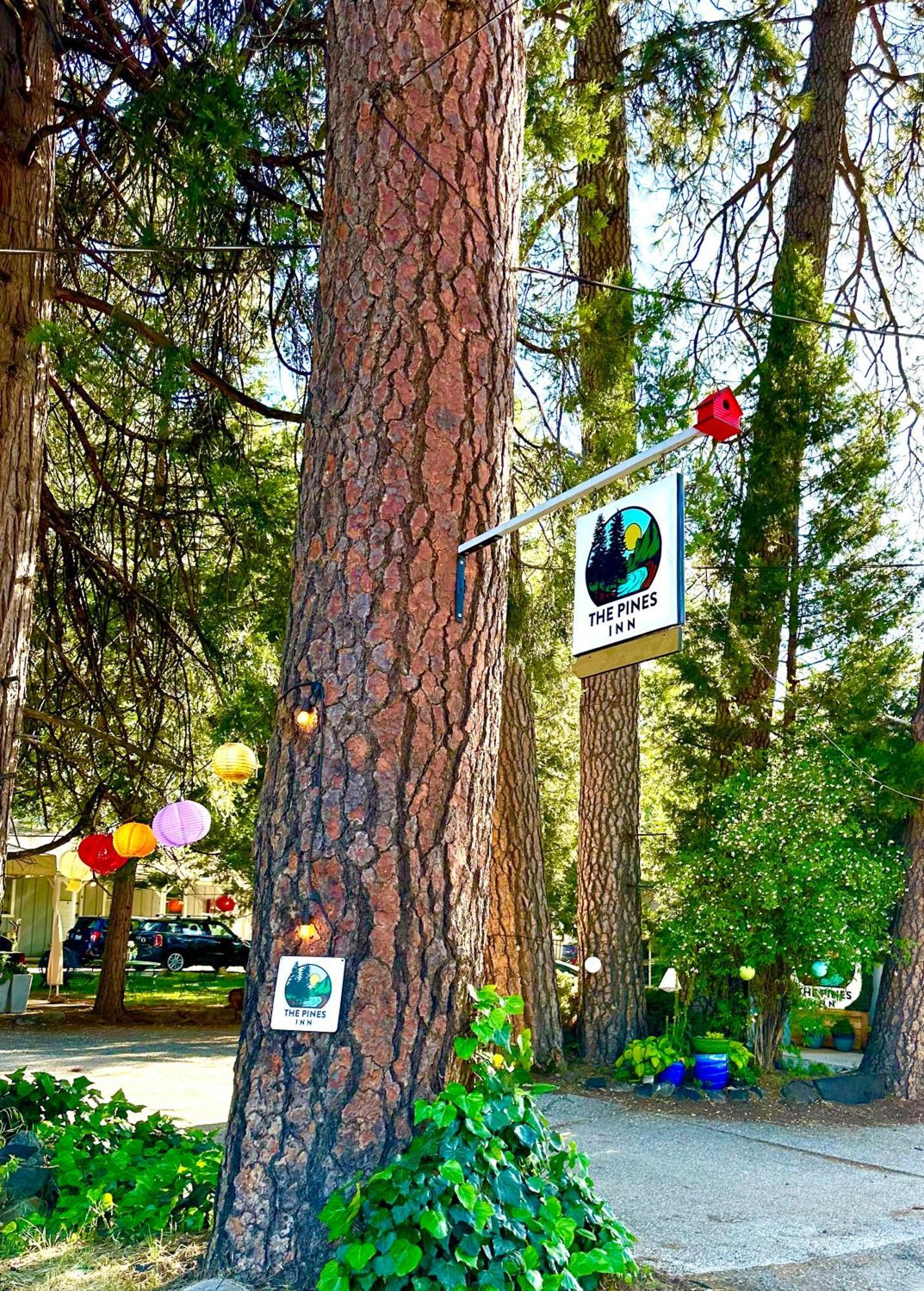 The Pines Inn And Cottages Grass Valley Buitenkant foto
